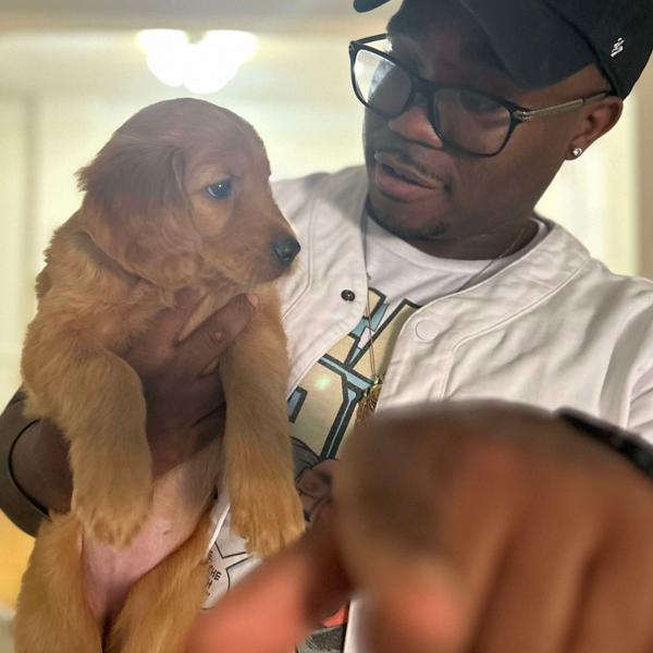puppy rehoming