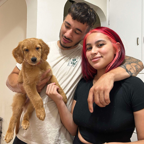 puppy rehoming