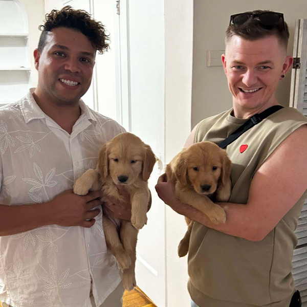 puppy rehoming