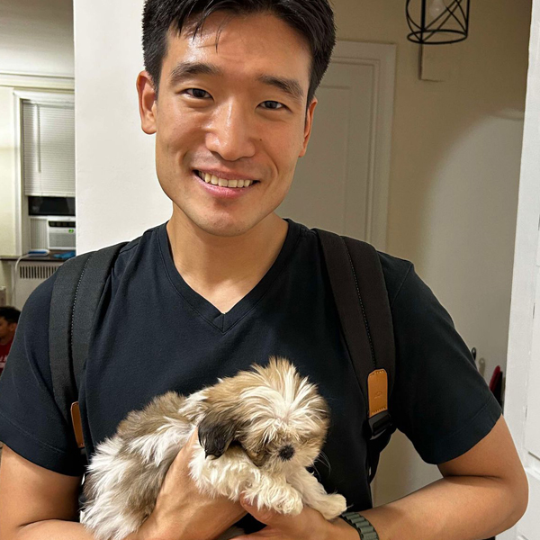 puppy rehoming
