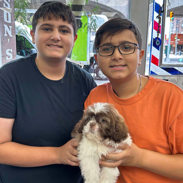 puppy rehoming